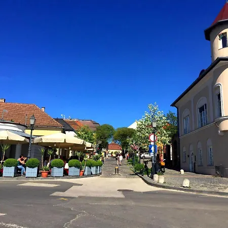 Apartment Panorama Vac